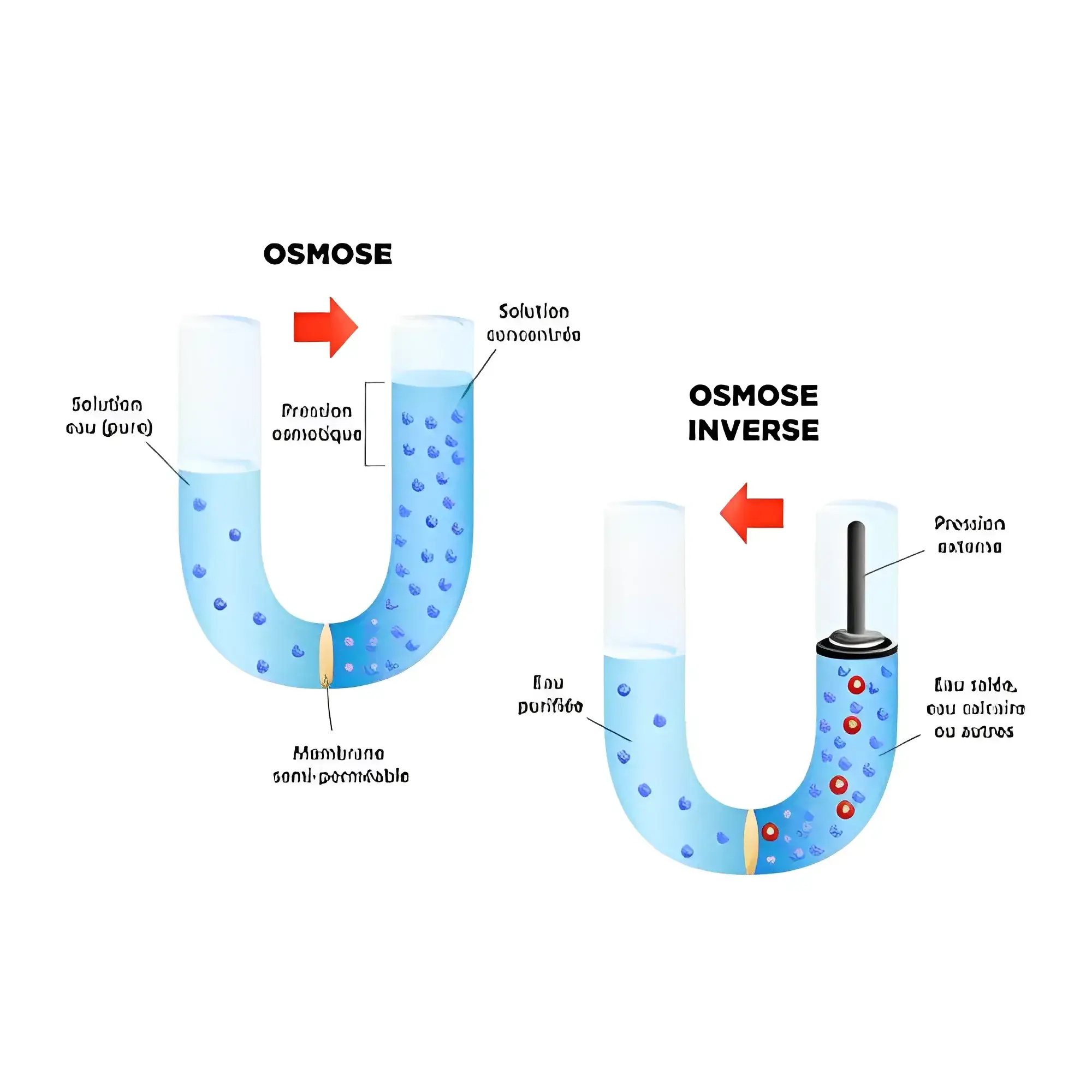 1688652367_JOURNAL MEMBRANE OSMOSE INVERSE.webp | Watec Distribution